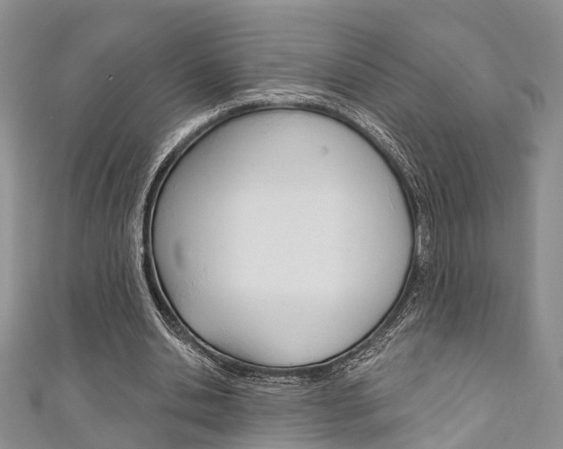 X0000111200438200907011033