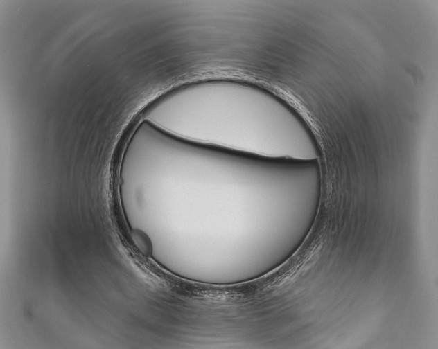 X0000111200439200907011033