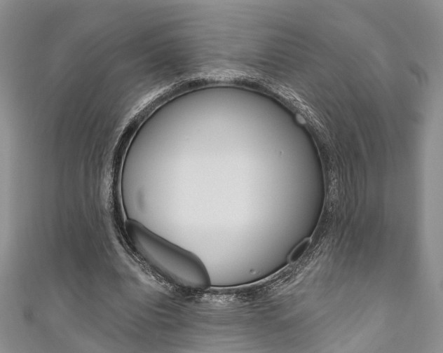 X0000111200440200907011033