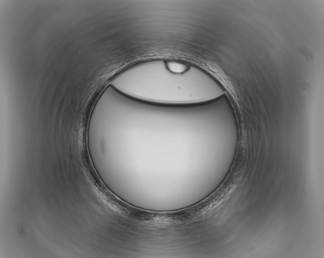 X0000111200441200907011033