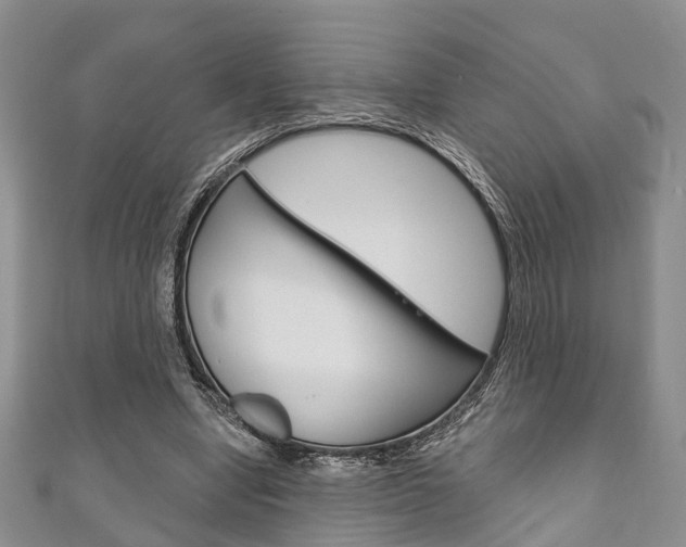 X0000111200442200907011033