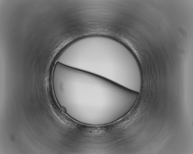 X0000111200443200907011033