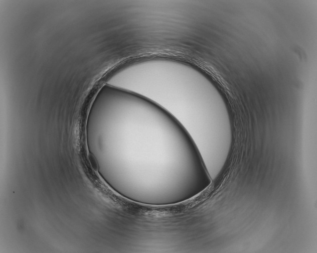 X0000111200444200907011033