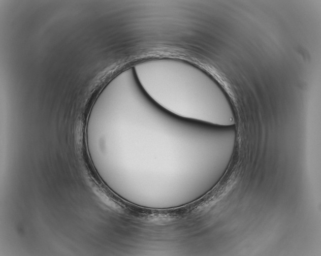X0000111200445200907011033