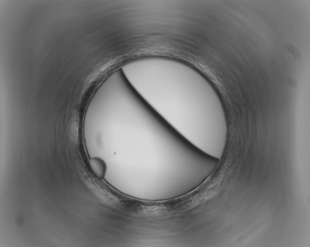 X0000111200446200907011033