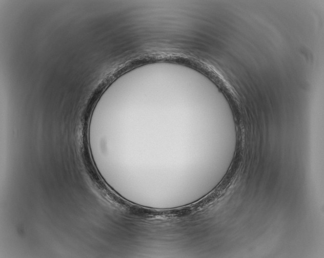 X0000111200447200907011033