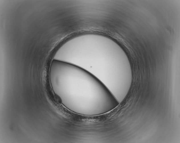 X0000111200448200907011033