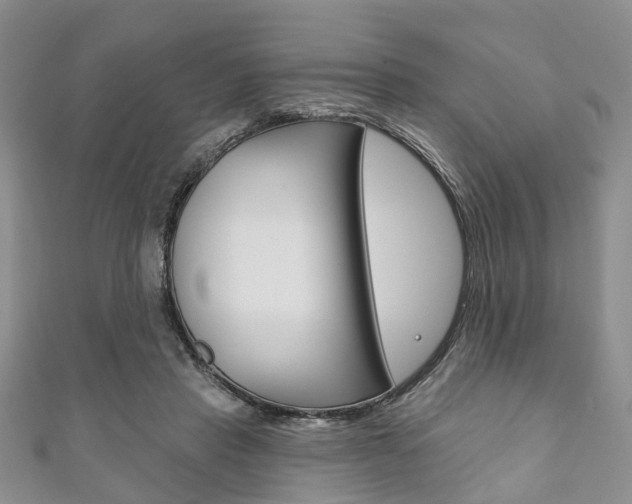 X0000111200453200907011033