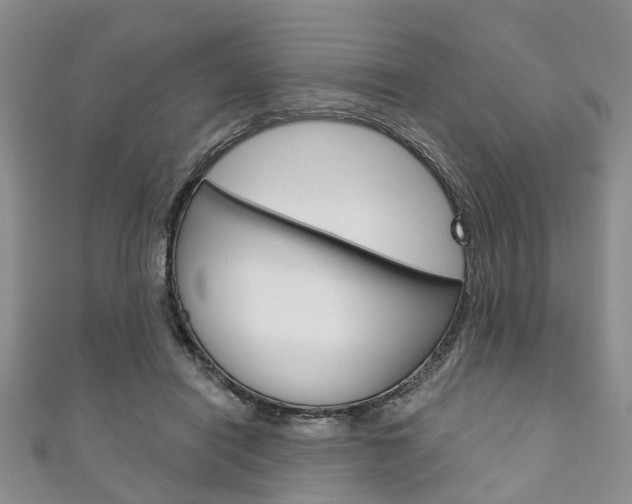 X0000111200454200907011033
