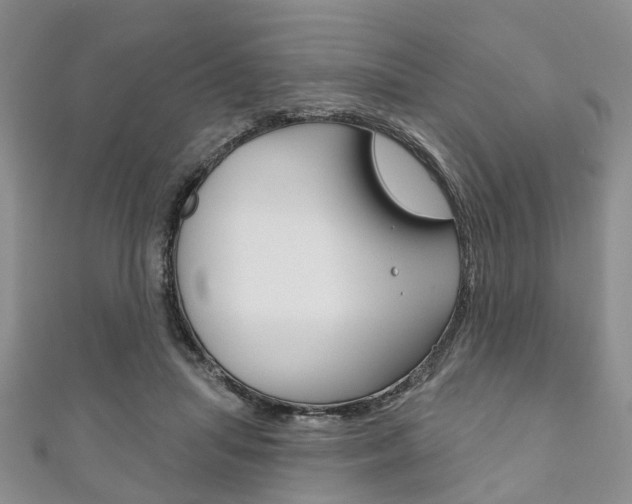 X0000111200455200907011033