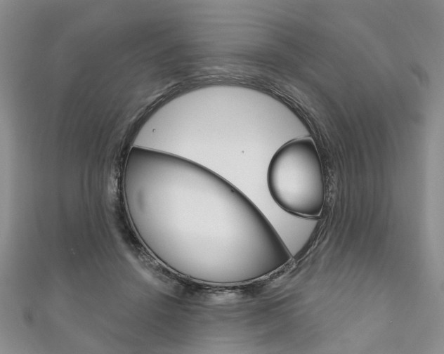 X0000111200456200907011033