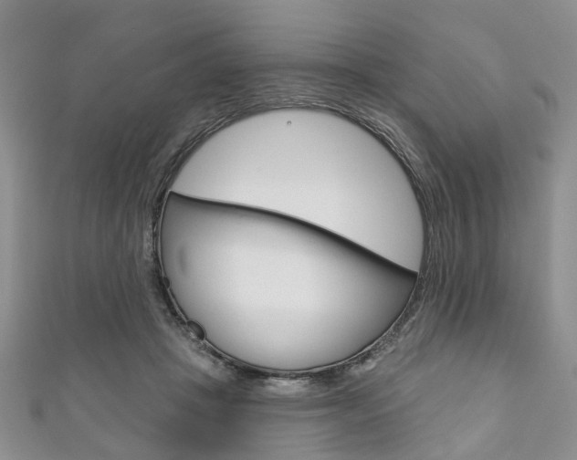 X0000111200457200907011033