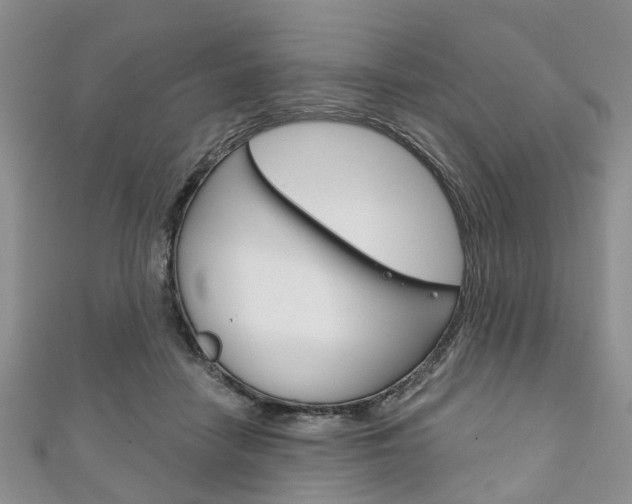 X0000111200458200907011033