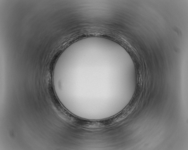 X0000111200459200907011033