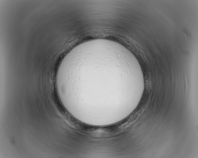 X0000111200460200907011033