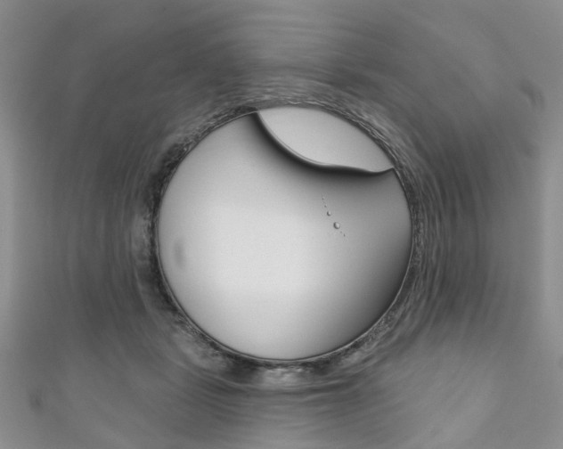 X0000111200461200907011033