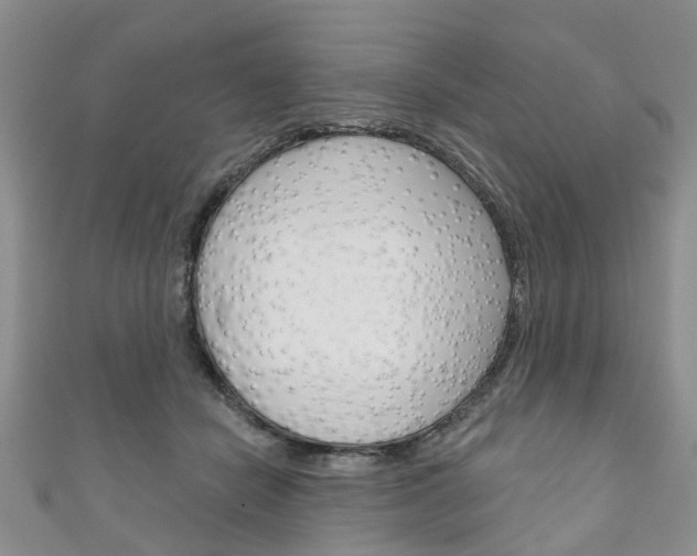 X0000111200462200907011033