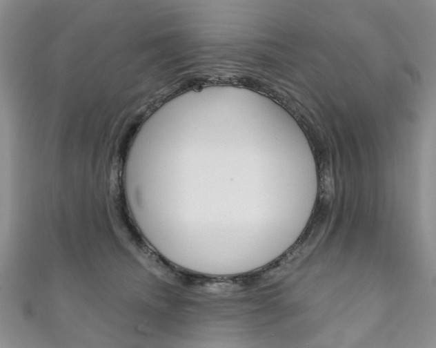 X0000111200468200907011033