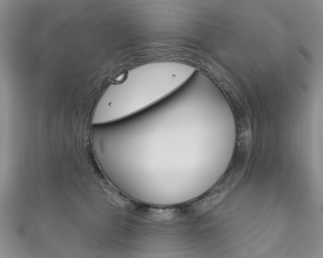 X0000111200469200907011033