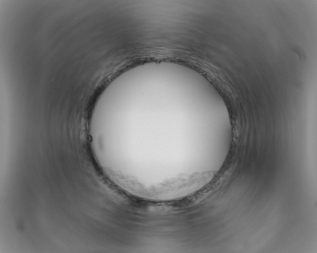 X0000111200470200907011033