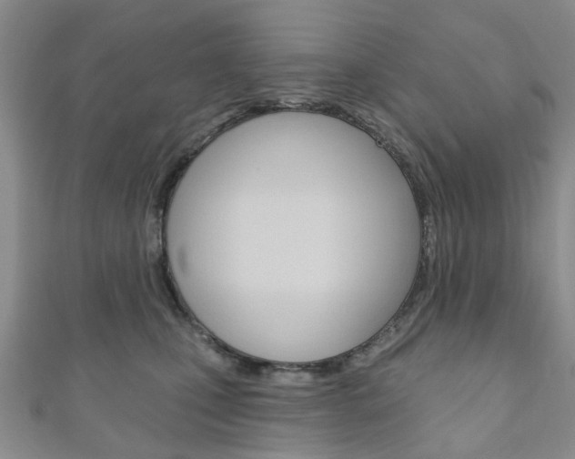 X0000111200471200907011033