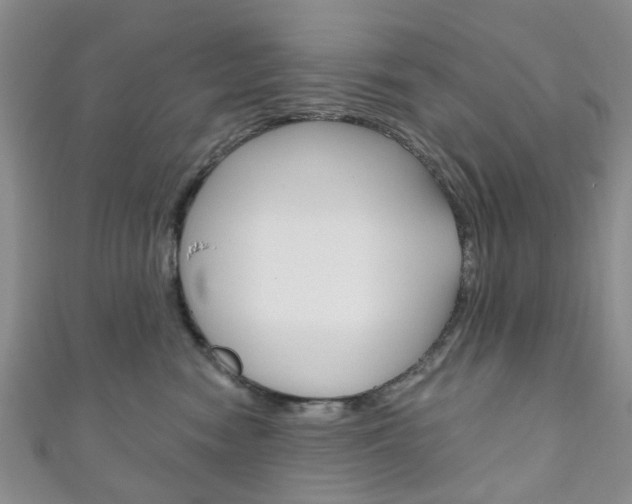 X0000111200474200907011034