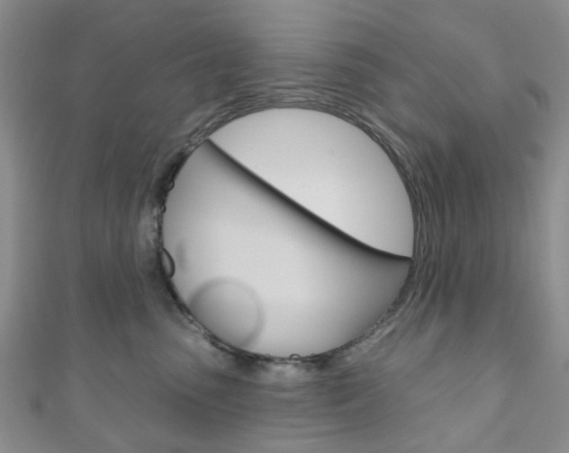 X0000111200475200907011034