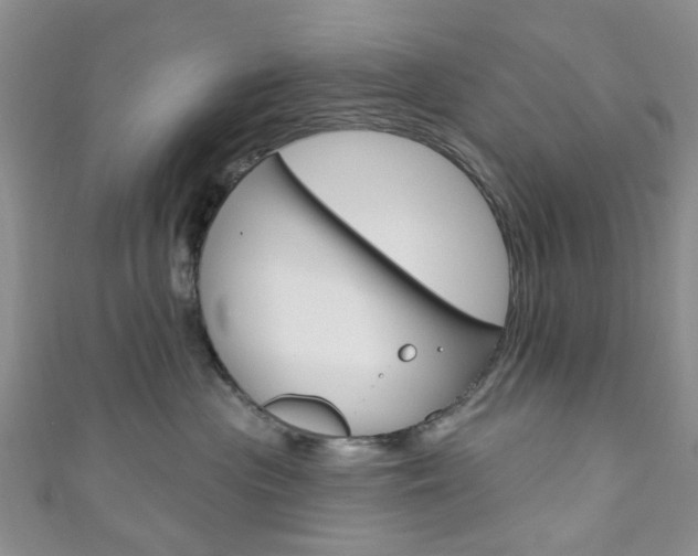 X0000111200477200907011034