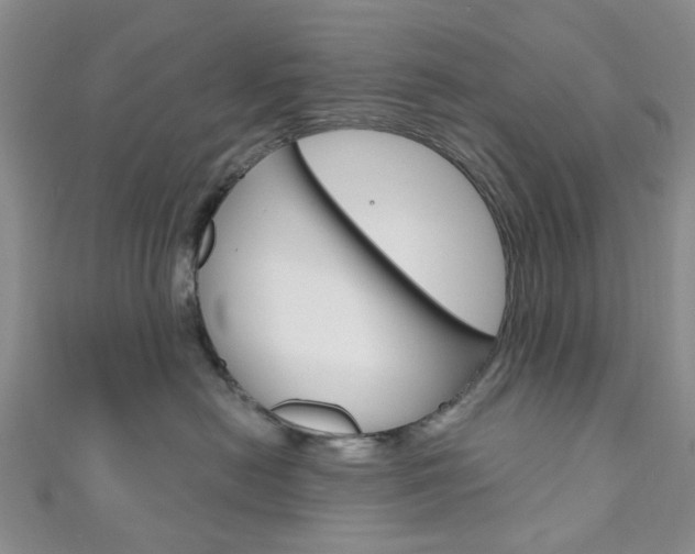 X0000111200478200907011034