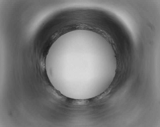 X0000111200479200907011034