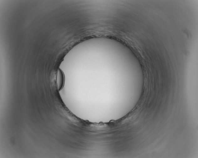 X0000111200480200907011034
