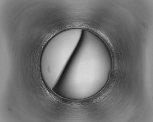 X0000111200481200907011033