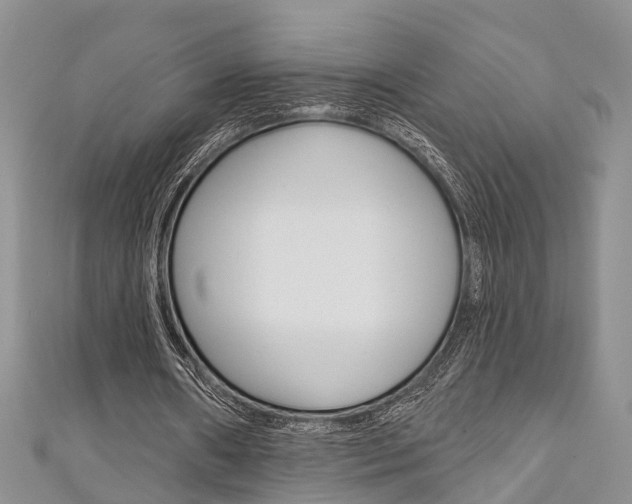 X0000111200482200907011033