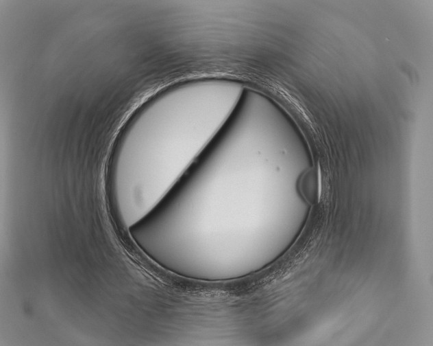 X0000111200483200907011033