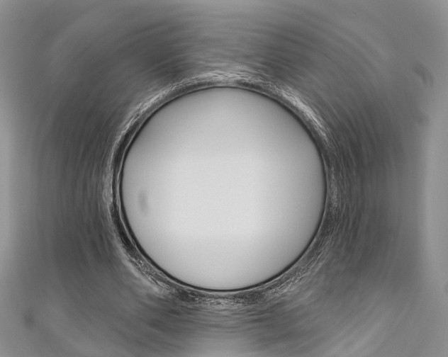 X0000111200486200907011033