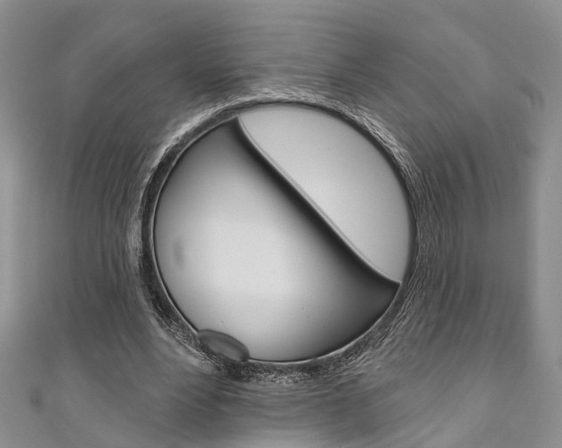 X0000111200488200907011033