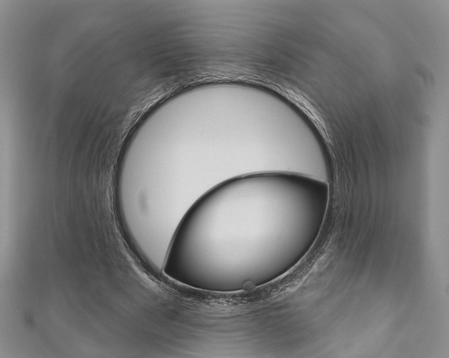 X0000111200489200907011033