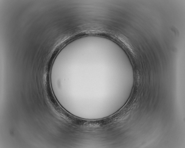 X0000111200491200907011033