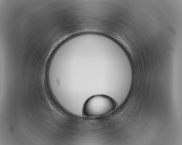 X0000111200492200907011033