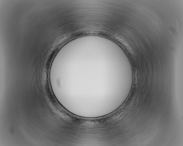 X0000111200494200907011033