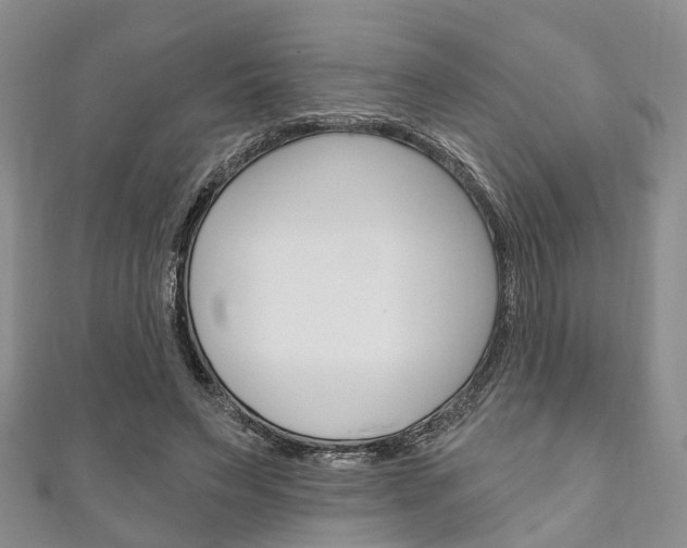 X0000111200495200907011033