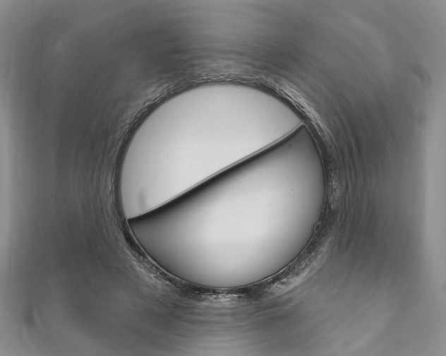 X0000111200497200907011033