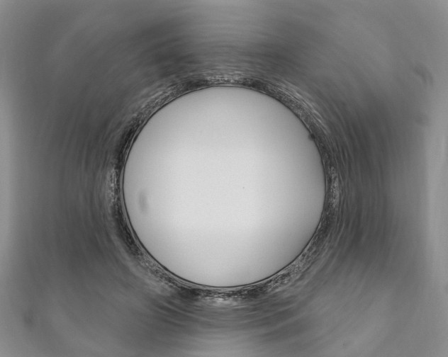 X0000111200498200907011033