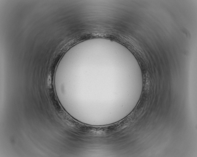 X0000111200502200907011033