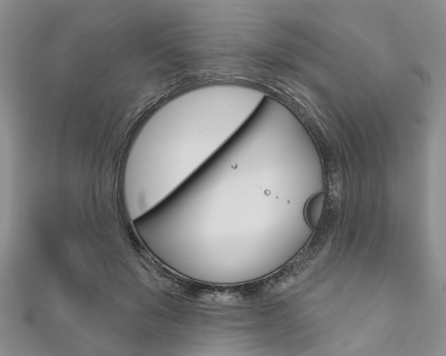 X0000111200503200907011033