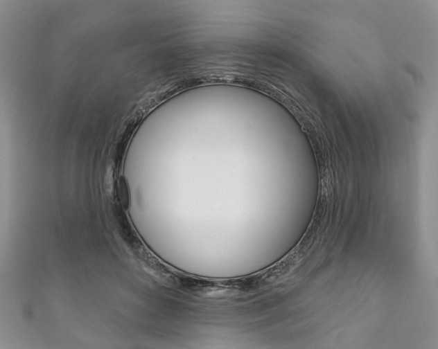 X0000111200504200907011033