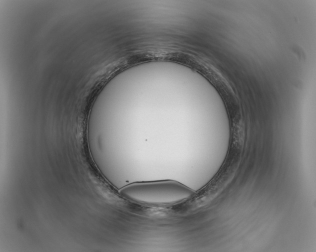 X0000111200505200907011033