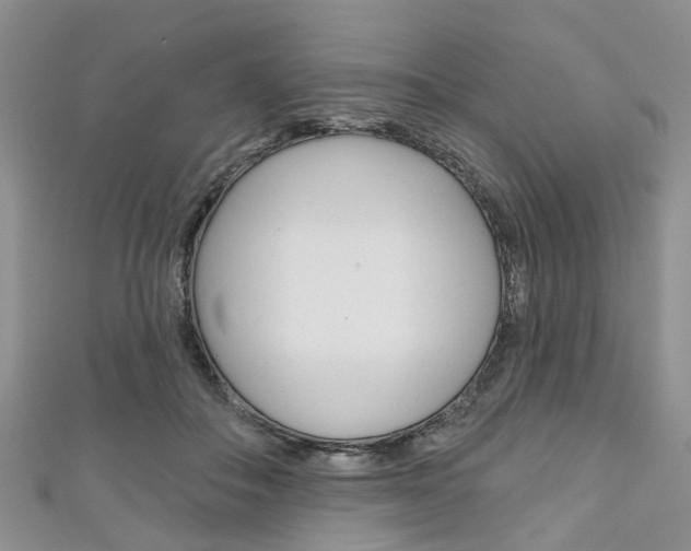 X0000111200506200907011033