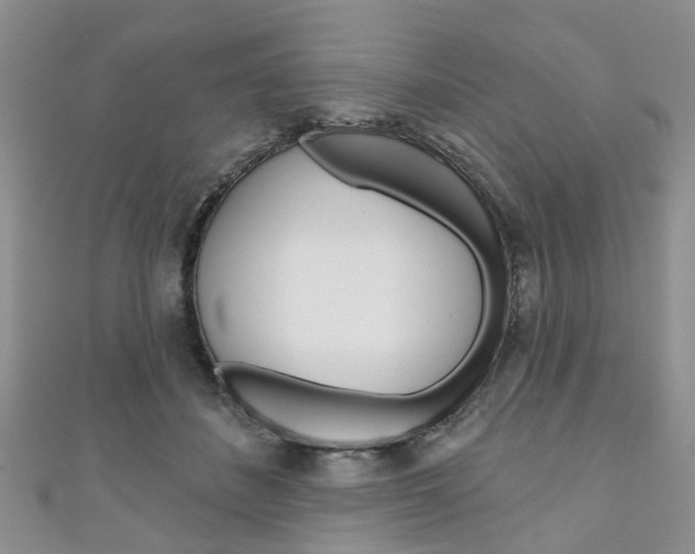 X0000111200508200907011032