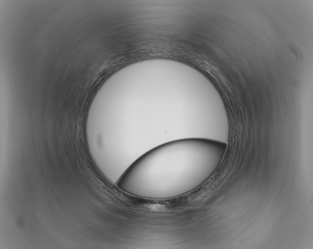 X0000111200509200907011032